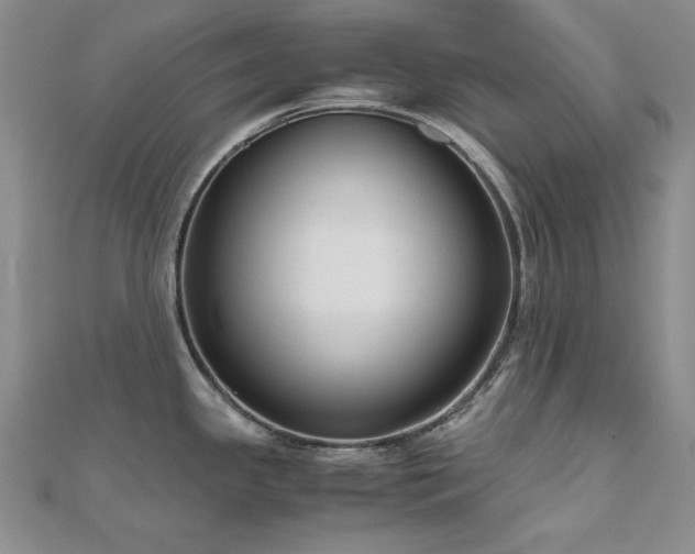 X0000110711341200906121346