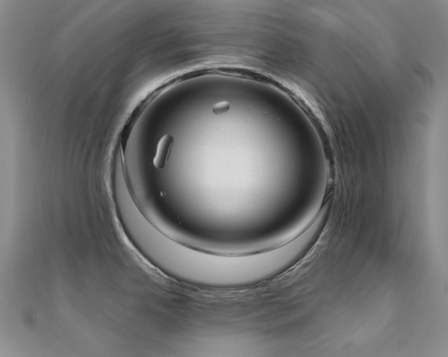 X0000110711342200906121346