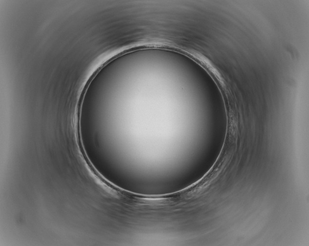 X0000110711343200906121346