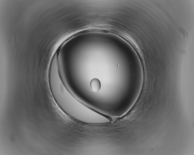 X0000110711344200906121346