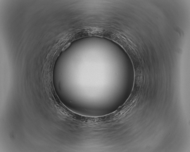 X0000110711345200906121346
