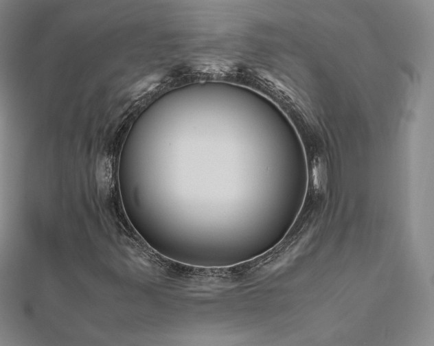 X0000110711347200906121346