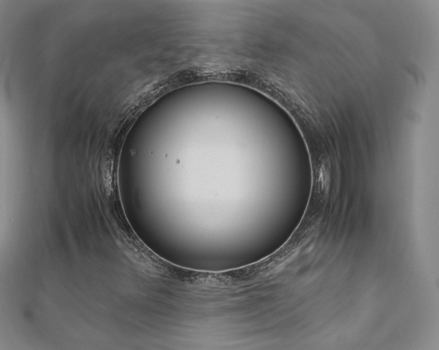 X0000110711348200906121346