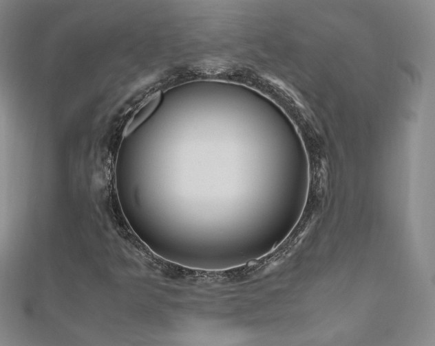 X0000110711349200906121346