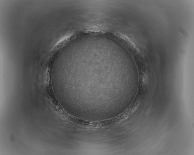 X0000110711350200906121346