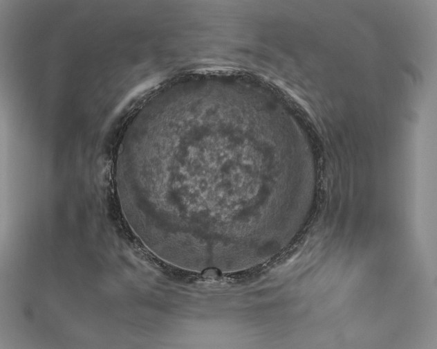X0000110711351200906121346