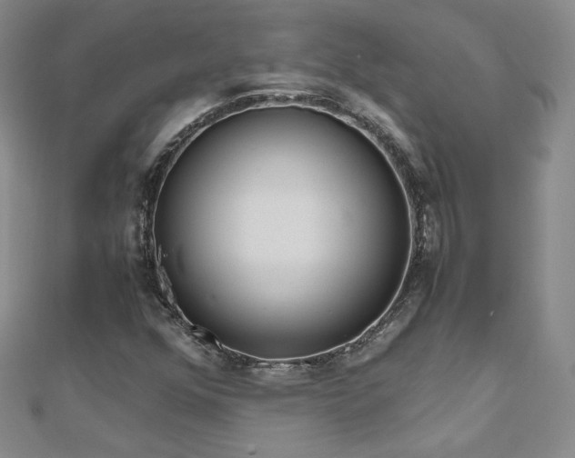 X0000110711352200906121346