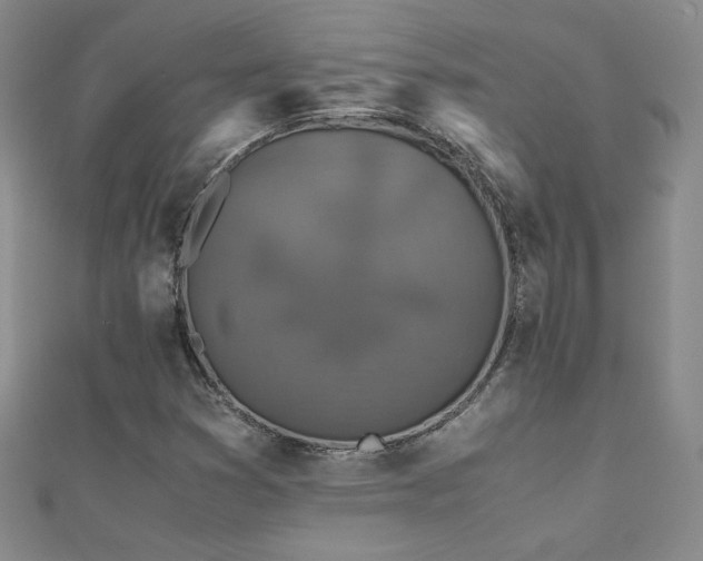 X0000110711353200906121346