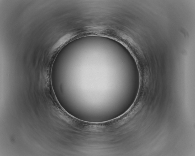 X0000110711354200906121346