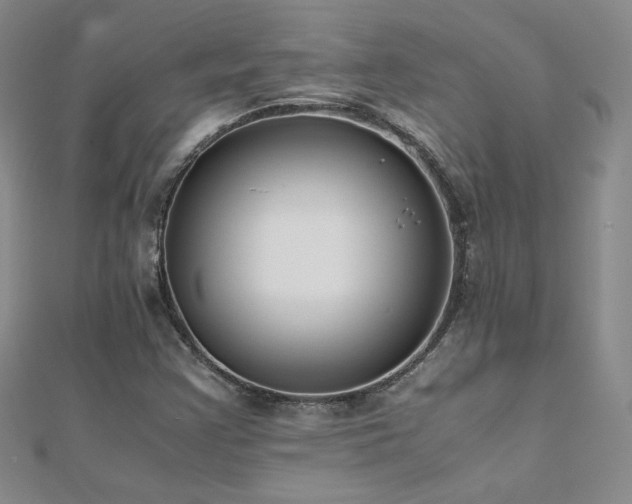 X0000110711355200906121346