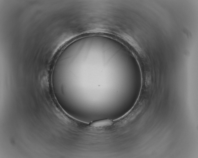 X0000110711356200906121345