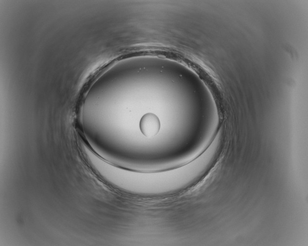 X0000110711357200906121345