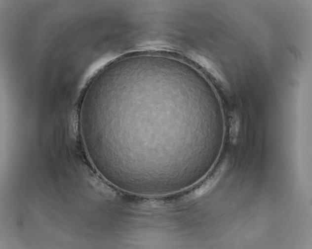 X0000110711358200906121345