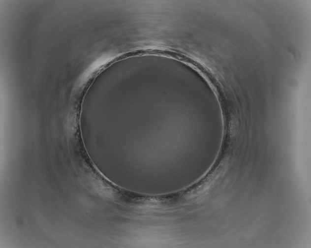 X0000110711359200906121345