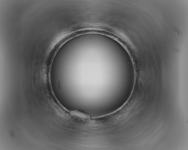 X0000110711360200906121345