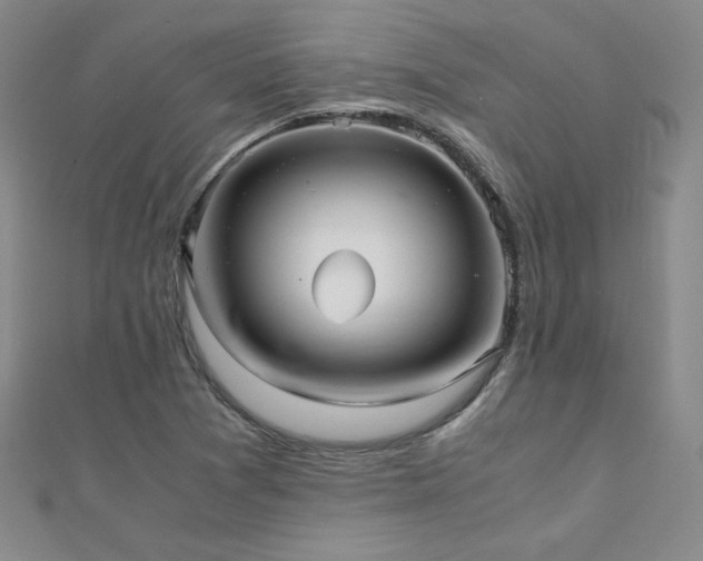 X0000110711361200906121345
