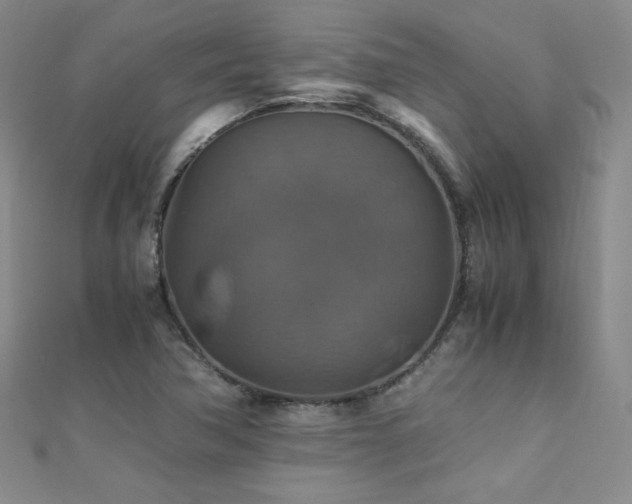 X0000110711362200906121345
