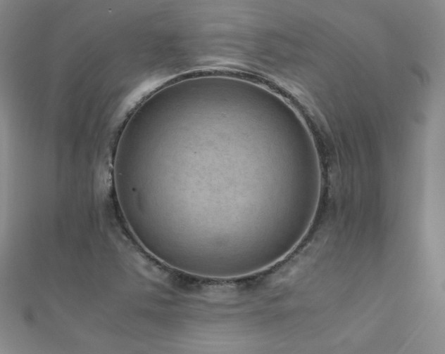 X0000110711363200906121345
