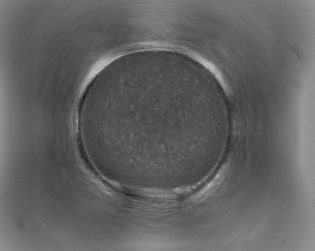 X0000110711365200906121345