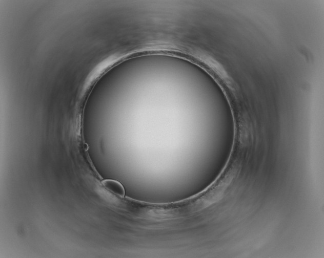 X0000110711366200906121345