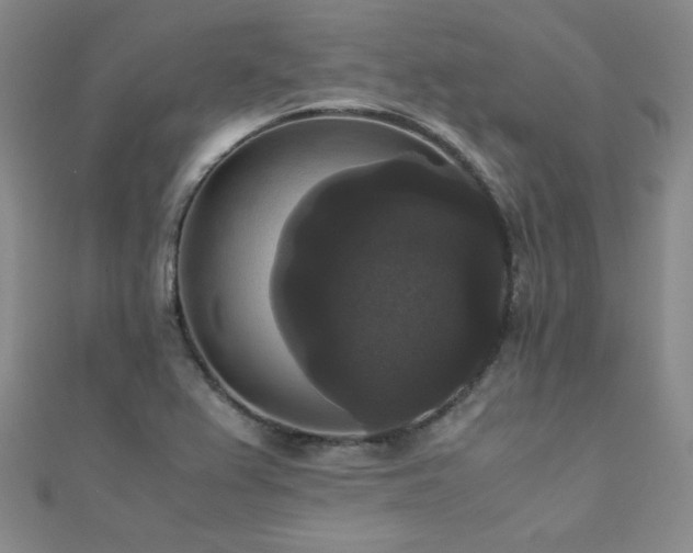 X0000110711367200906121345