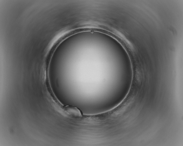 X0000110711368200906121345