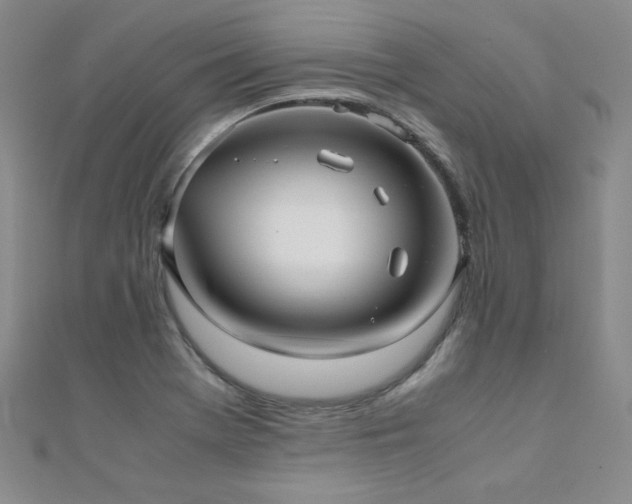X0000110711369200906121345