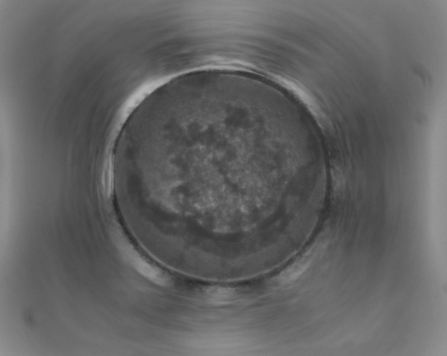 X0000110711371200906121345