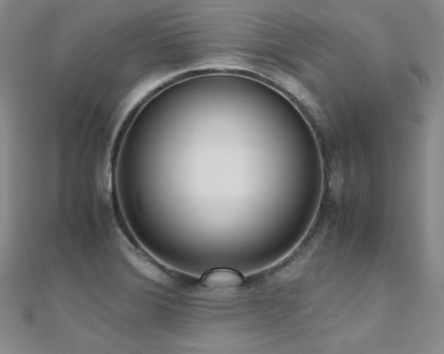 X0000110711372200906121345