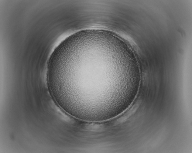 X0000110711374200906121345