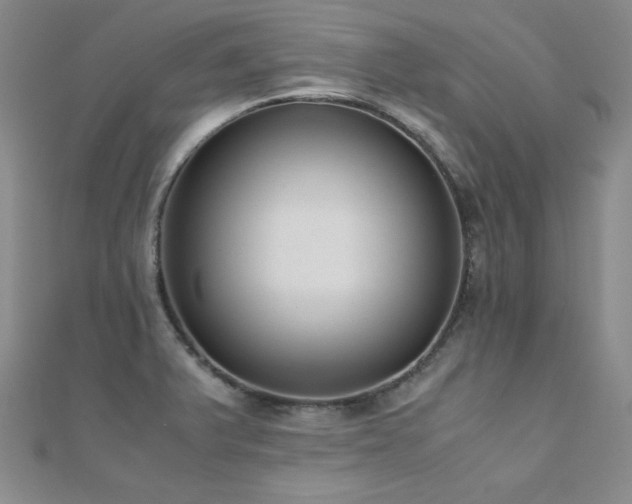 X0000110711375200906121345