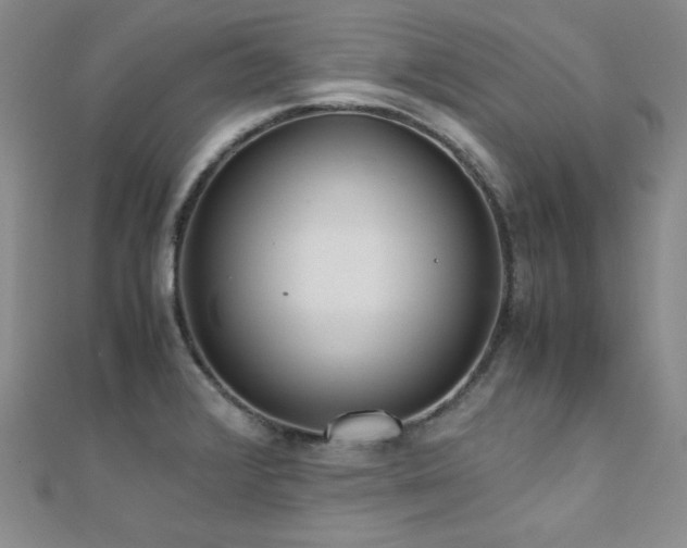 X0000110711376200906121345