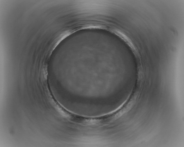 X0000110711377200906121345
