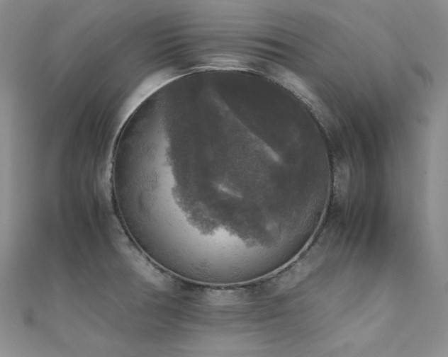 X0000110711378200906121345