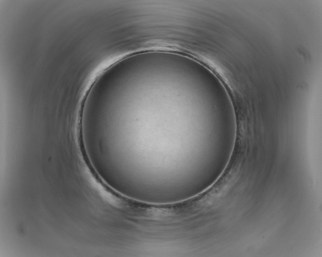 X0000110711379200906121345