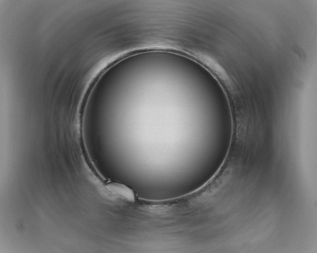 X0000110711380200906121345