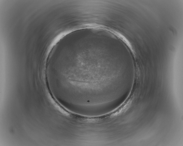 X0000110711381200906121345