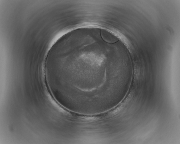 X0000110711382200906121345