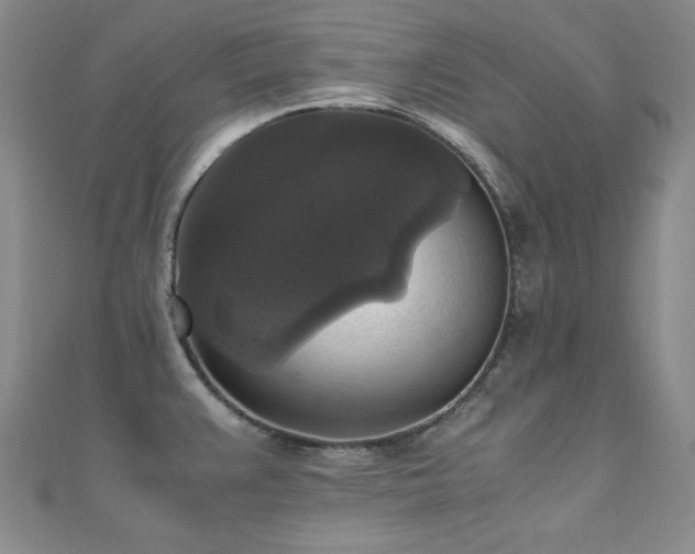 X0000110711383200906121345
