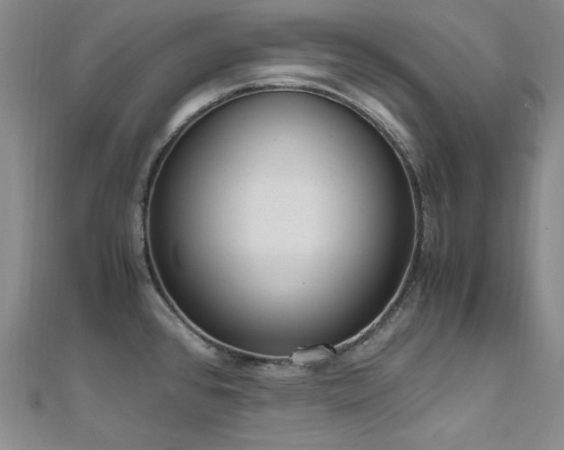 X0000110711384200906121345
