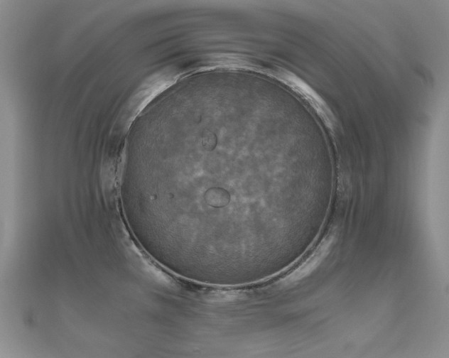 X0000110711385200906121345