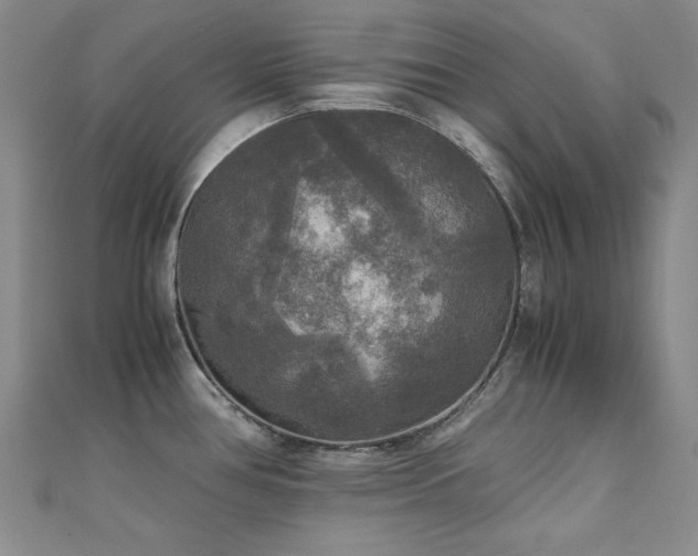 X0000110711386200906121345