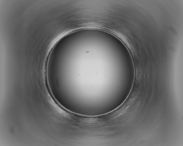 X0000110711387200906121345
