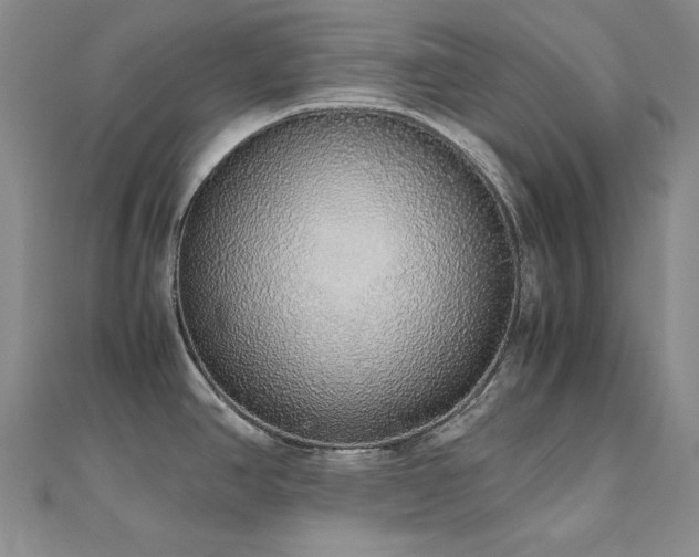 X0000110711390200906121345