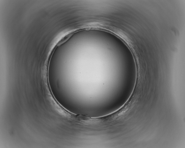 X0000110711392200906121345