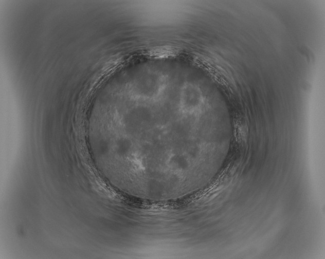 X0000110711393200906121344