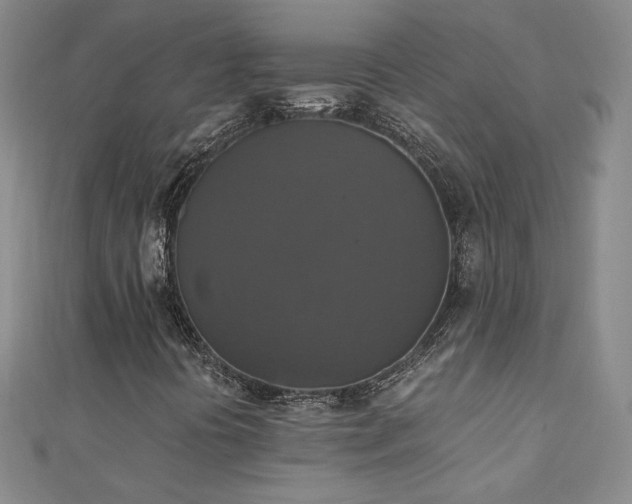 X0000110711394200906121344