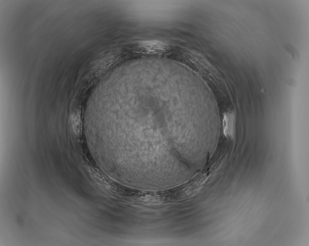 X0000110711395200906121344