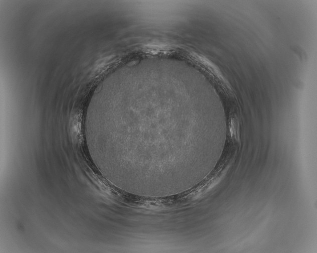 X0000110711396200906121344