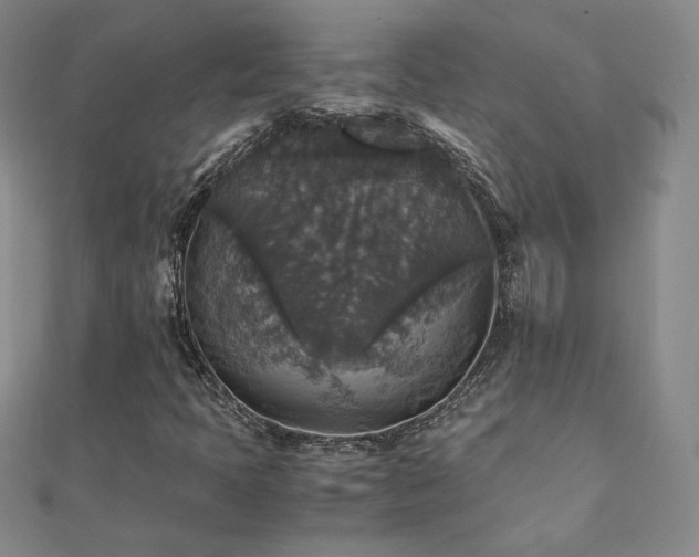 X0000110711397200906121344